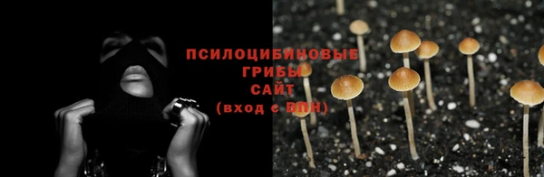 apvp Белоозёрский