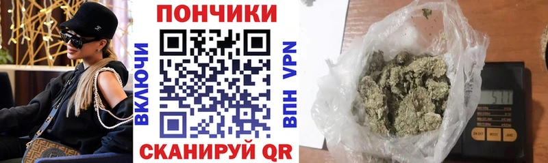 Марихуана сатива  Павловская 